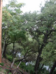 The Gristmill Restaurant - looking down @ River