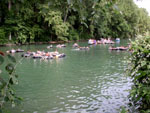 Tubing the Guadelupe River
