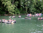 Tubing the Guadelupe River