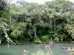 Tubing the Guadelupe River