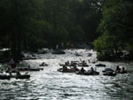 Tubing the Guadelupe River